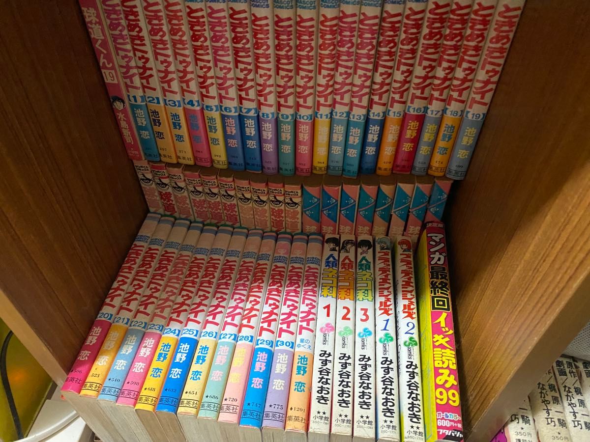 ときめきトゥナイト 1〜30巻+星のゆくえ 1冊 おまけ 真壁俊の ときめきトゥナイト 1〜30巻+星のゆくえ 1冊 おまけ 真壁俊の