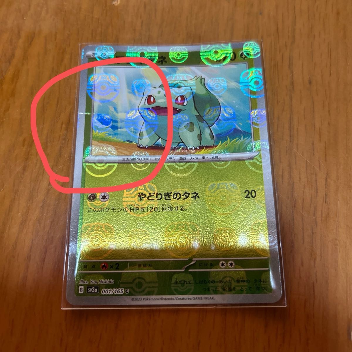 ポケモンカード マスターボール ミラー フシギダネ|Yahoo ポケモンカード マスターボール ミラー フシギダネ|Yahoo