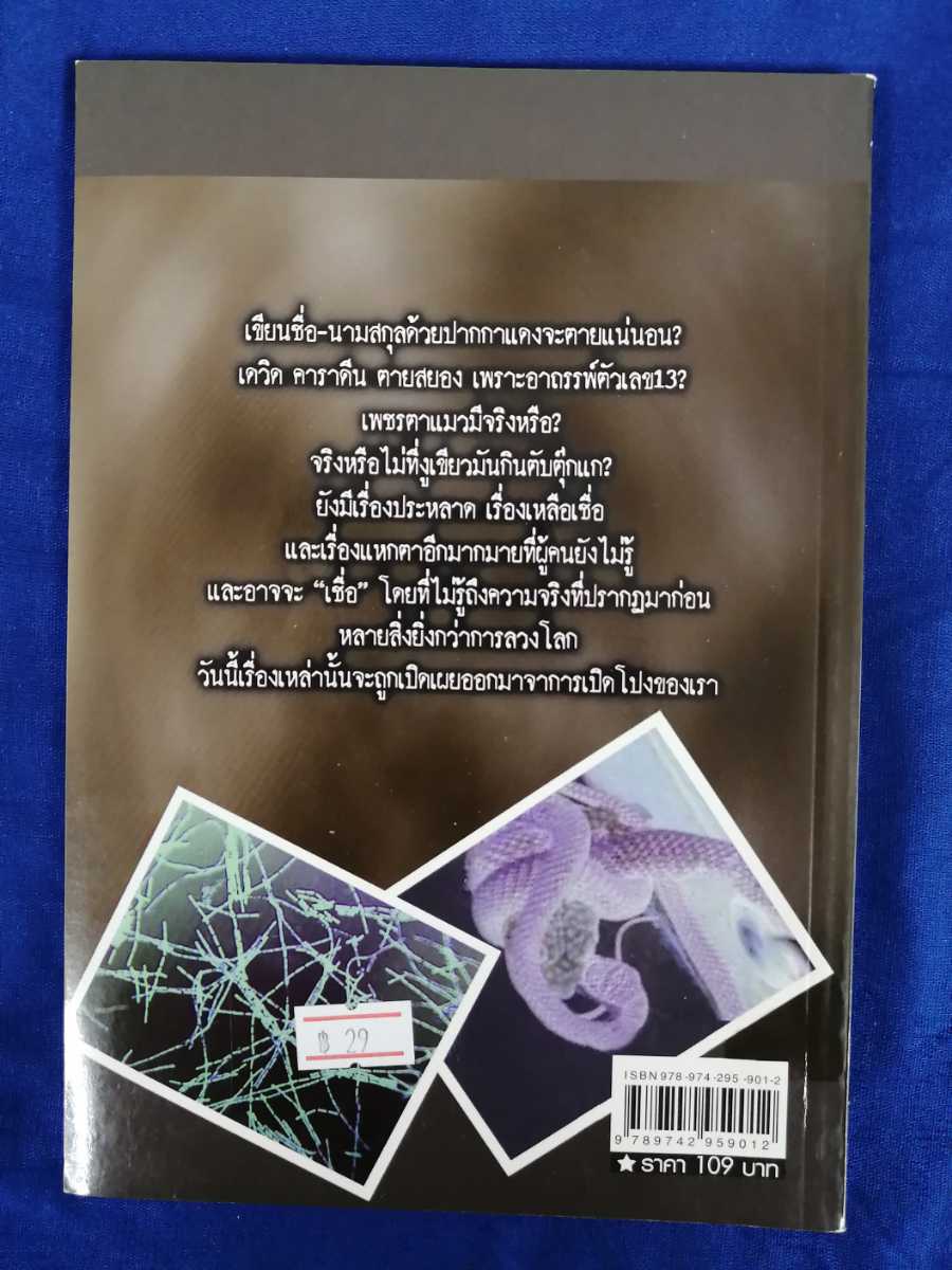 ★タイの本26　Thailand 　中古　ゆうパ着払い　まとめ同梱可　まとめ買い推奨_画像2