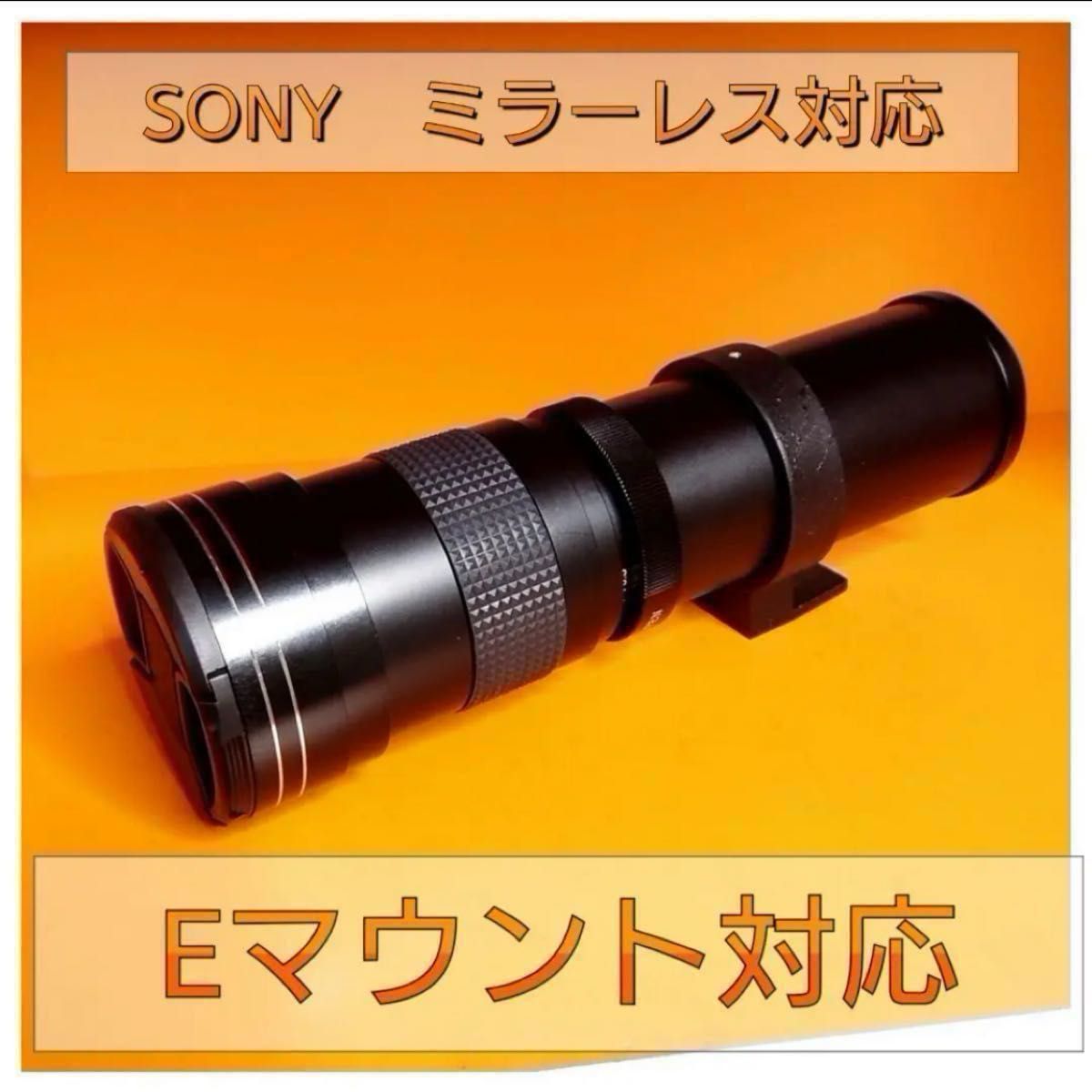 SONYミラーレス対応 スーパーズームレンズ 遠くの被写体を撮影 SONYミラーレス対応 スーパーズームレンズ 遠くの被写体を撮影