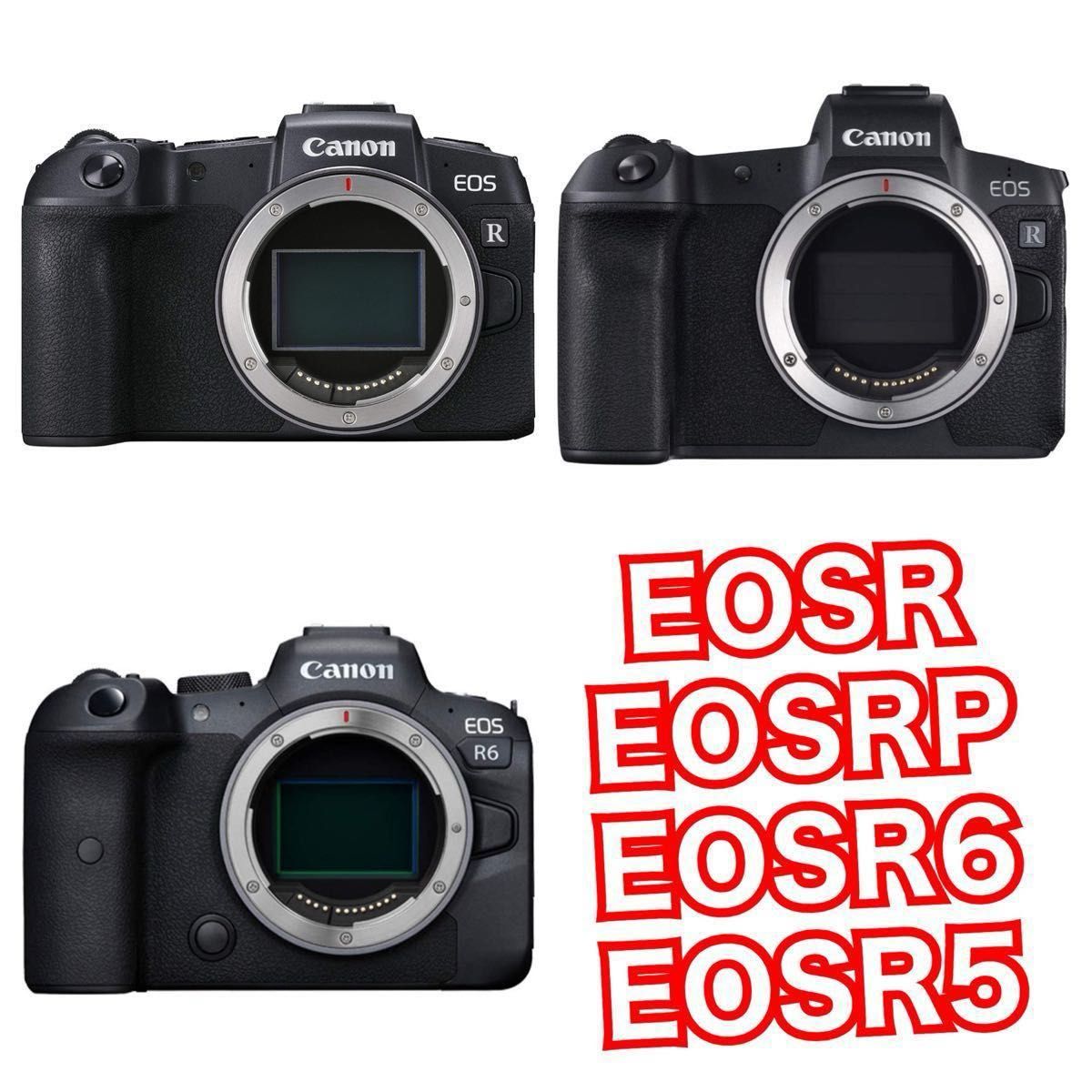 驚異の1600mm Canon EOSRシリーズ用 超望遠レンズ これは凄い 美 驚異の1600mm Canon EOSRシリーズ用 超望遠レンズ これは凄い 美