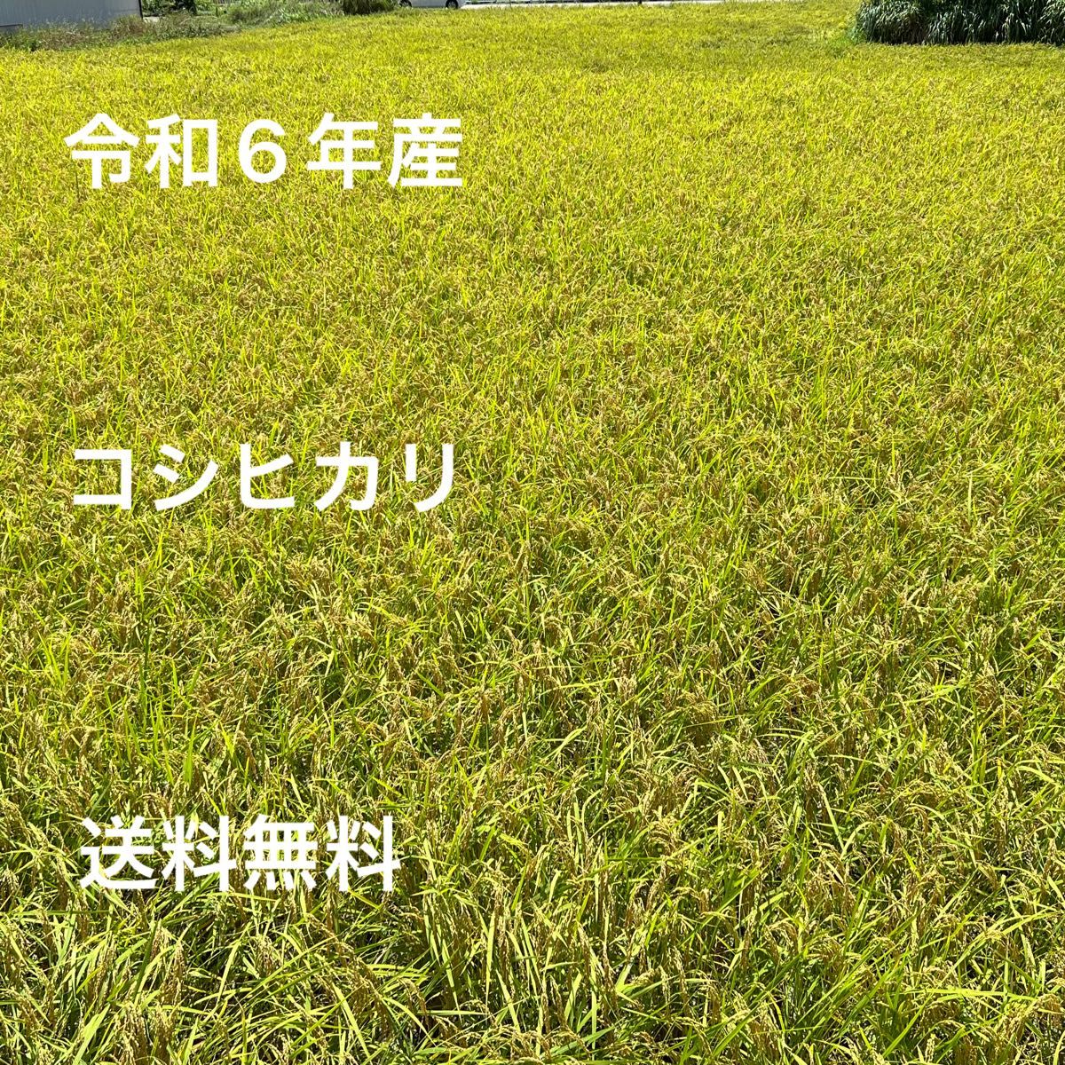 岐阜県郡上市産 令和6年産コシヒカリ 30kg 新米 特A|Yahoo 岐阜県郡上市産 令和6年産コシヒカリ 30kg 新米 特A|Yahoo