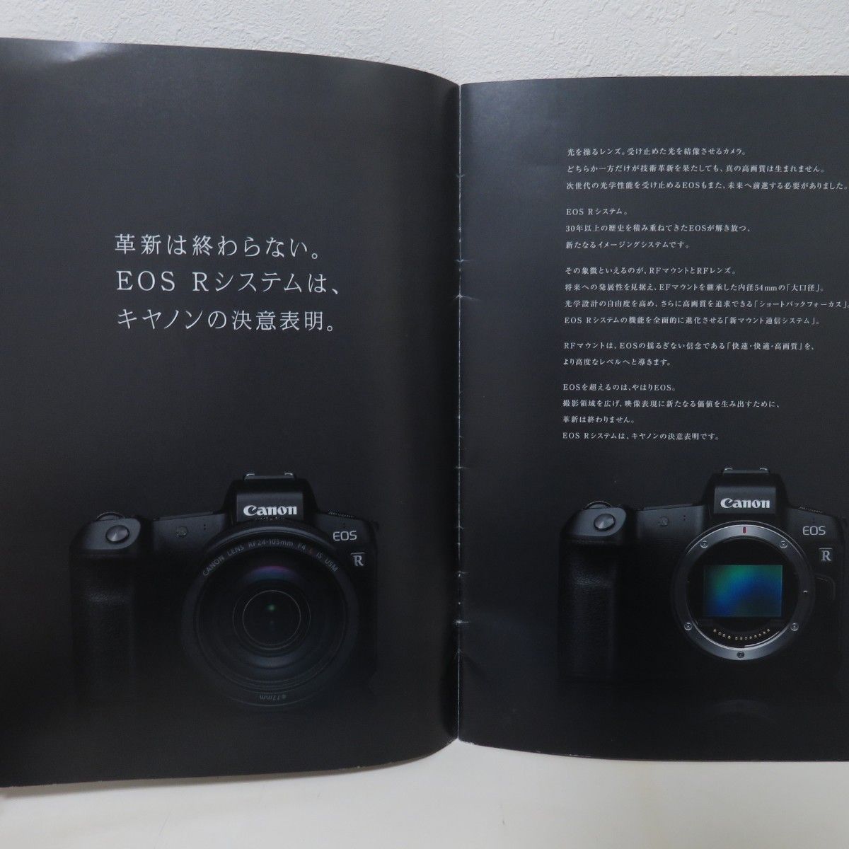 キヤノン EOS R RP カタログ2部セット|Yahoo!フリマ(旧PayPay キヤノン EOS R RP カタログ2部セット|Yahoo!フリマ(旧PayPay