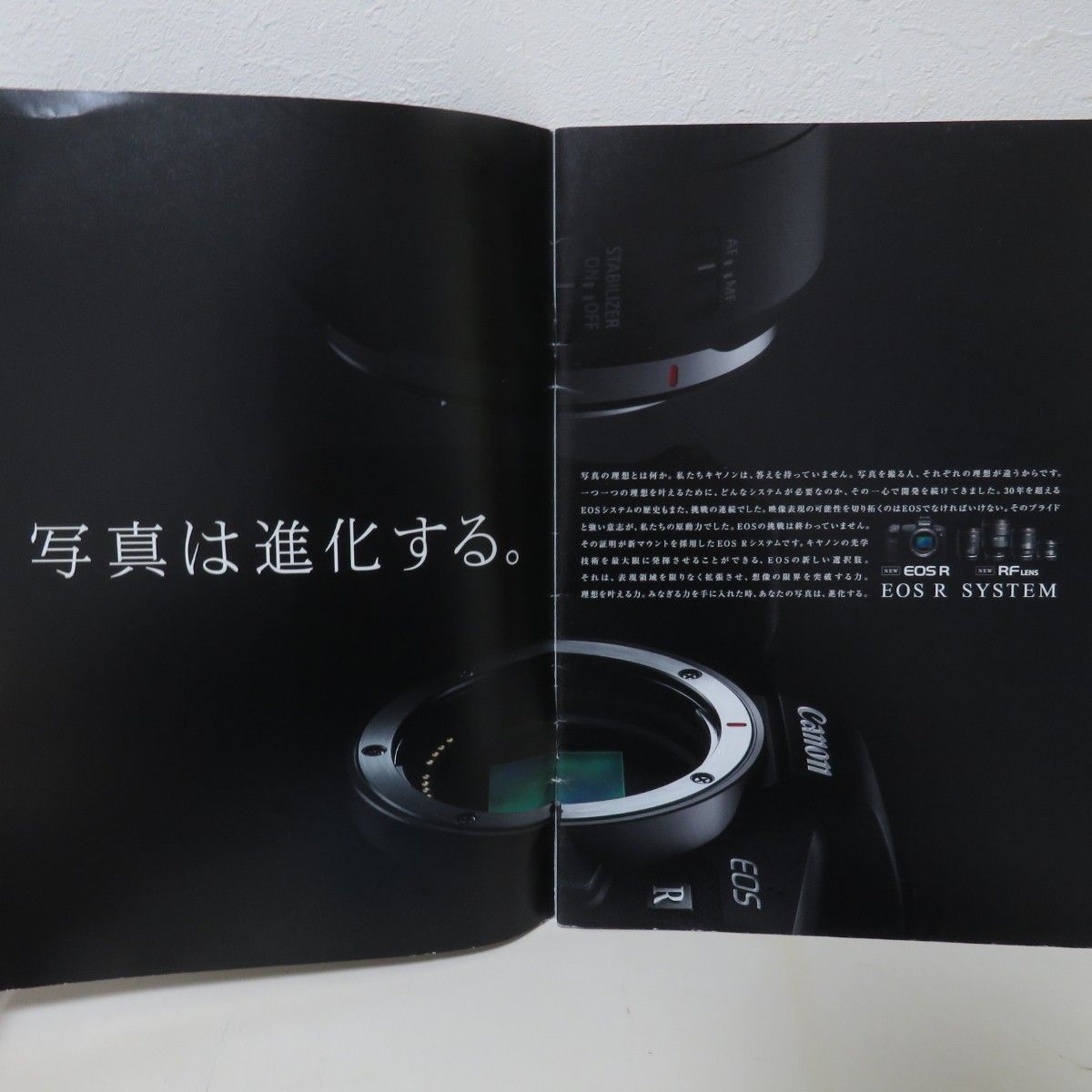 キヤノン EOS R RP カタログ2部セット|Yahoo!フリマ(旧PayPay キヤノン EOS R RP カタログ2部セット|Yahoo!フリマ(旧PayPay