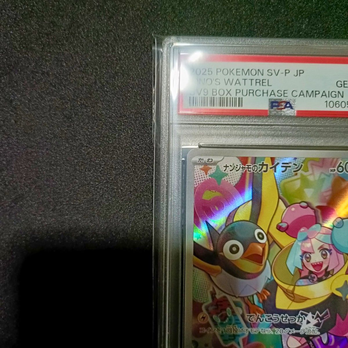 PSA10 ナンジャモのカイデン プロモ ポケモンカード|Yahoo PSA10 ナンジャモのカイデン プロモ ポケモンカード|Yahoo