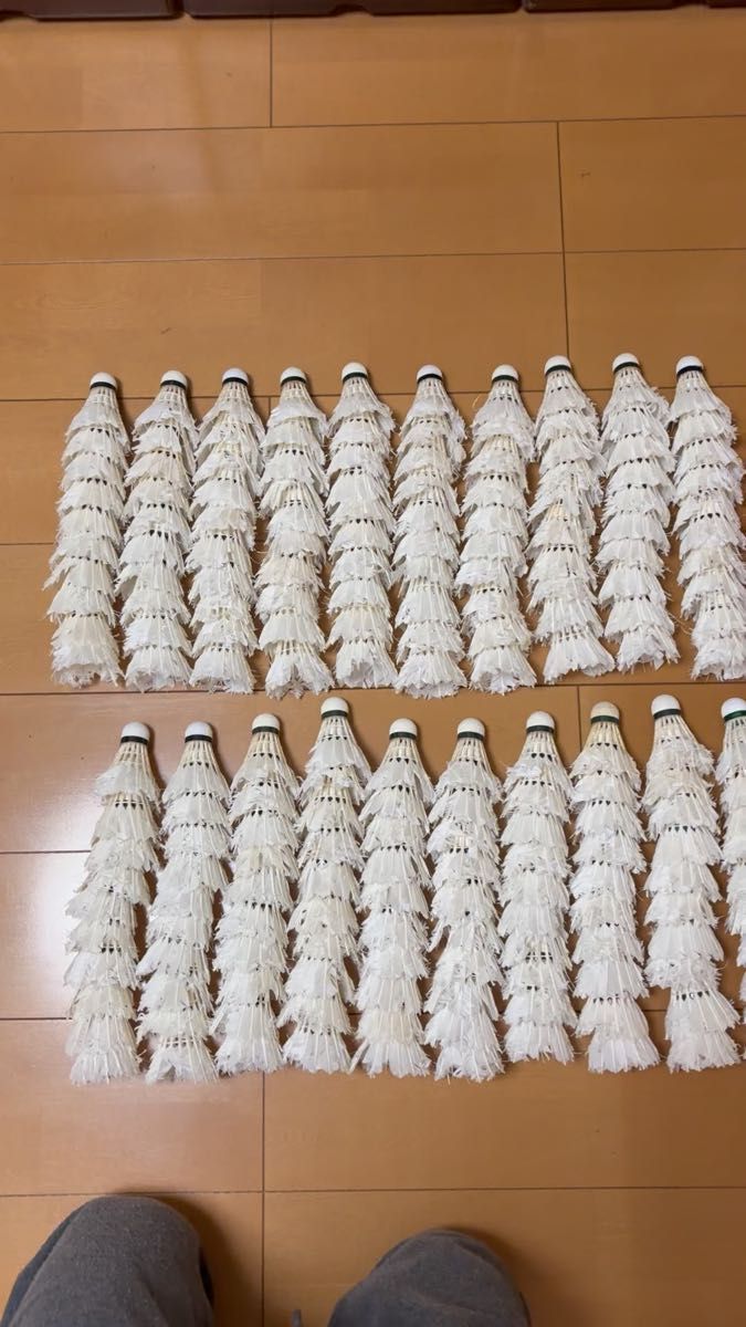 バドミントン中古シャトル② 200球+〆 トスバッティング用