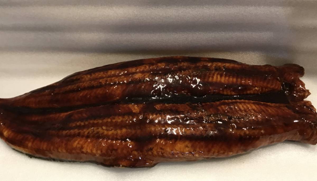 6[ domestic production! fine quality!] Kagoshima prefecture production extra-large .... roasting 1 tail eel eel earth for .. day high class gift Mother's Day Father's day Bon Festival gift gift inside festival hand earth production 