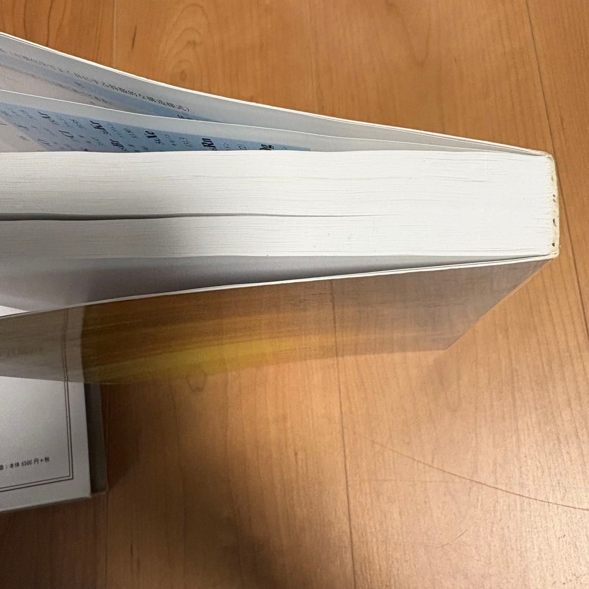 ジョーンズ有機化学 下 (第5版) Maitland Jones ジョーンズ有機化学 下 (第5版) Maitland Jones