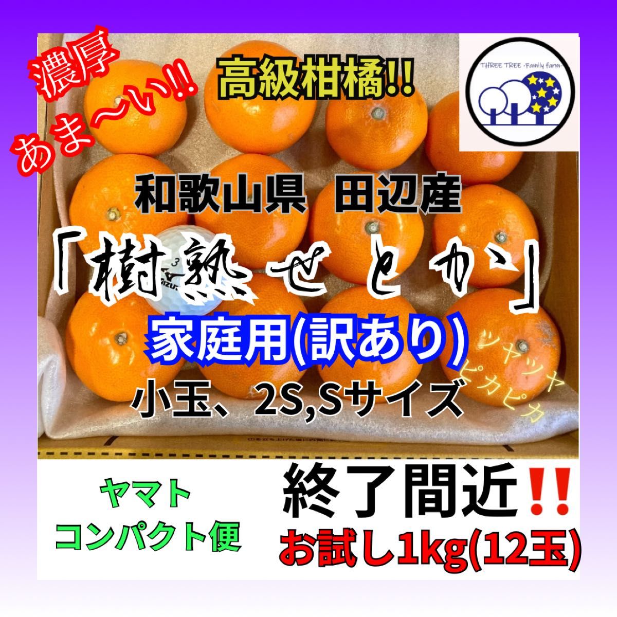 数量限定 和歌山県田辺産せとか オレンジ みかん 蜜柑 柑橘家庭 数量限定 和歌山県田辺産せとか オレンジ みかん 蜜柑 柑橘家庭