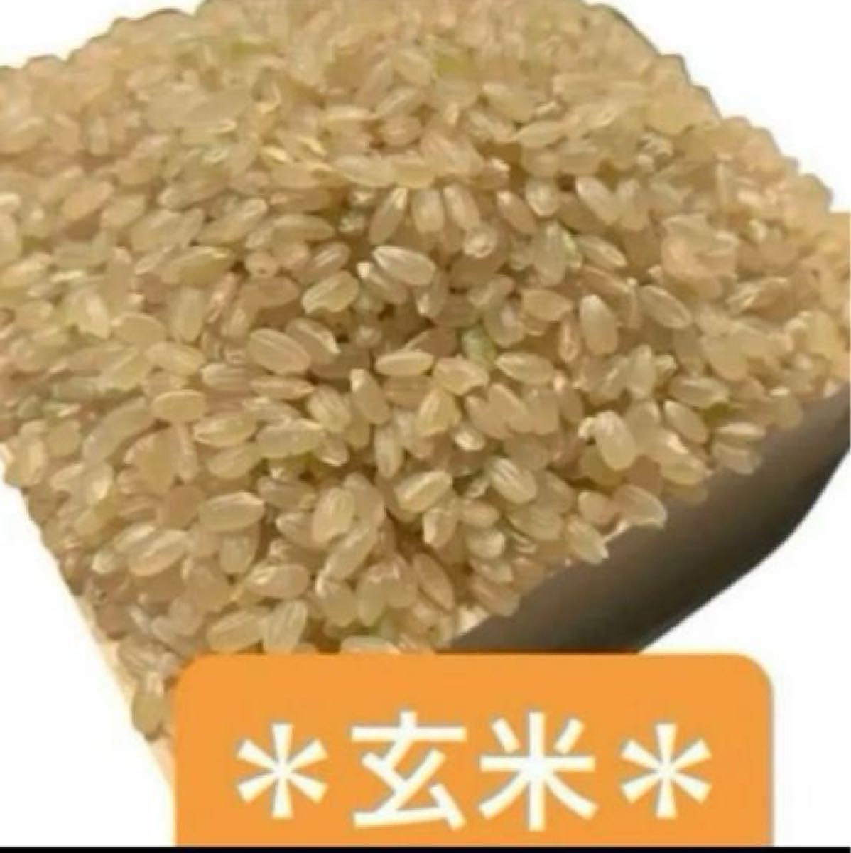減農薬 米 10キロ 【新米】新潟県産 コシヒカリ 玄米10㎏ 数量 減農薬 米 10キロ 【新米】新潟県産 コシヒカリ 玄米10㎏ 数量