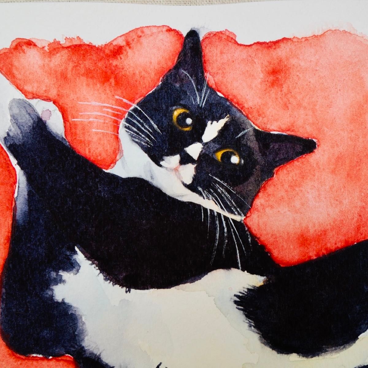 猫の絵274 水彩画 原画 黒白猫 A5|Yahoo!フリマ(旧PayPayフリマ) 猫の絵274 水彩画 原画 黒白猫 A5|Yahoo!フリマ(旧PayPayフリマ)