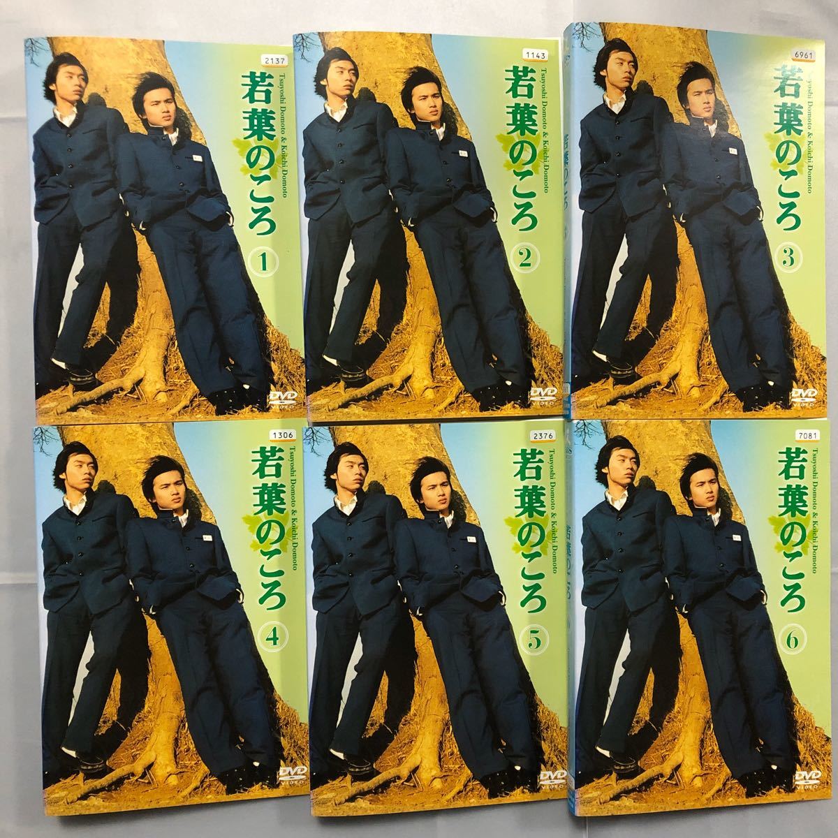レンタル落ちDVD 若葉のころ 全巻セット 堂本剛 堂本光一 ドラマ レンタル落ちDVD 若葉のころ 全巻セット 堂本剛 堂本光一 ドラマ