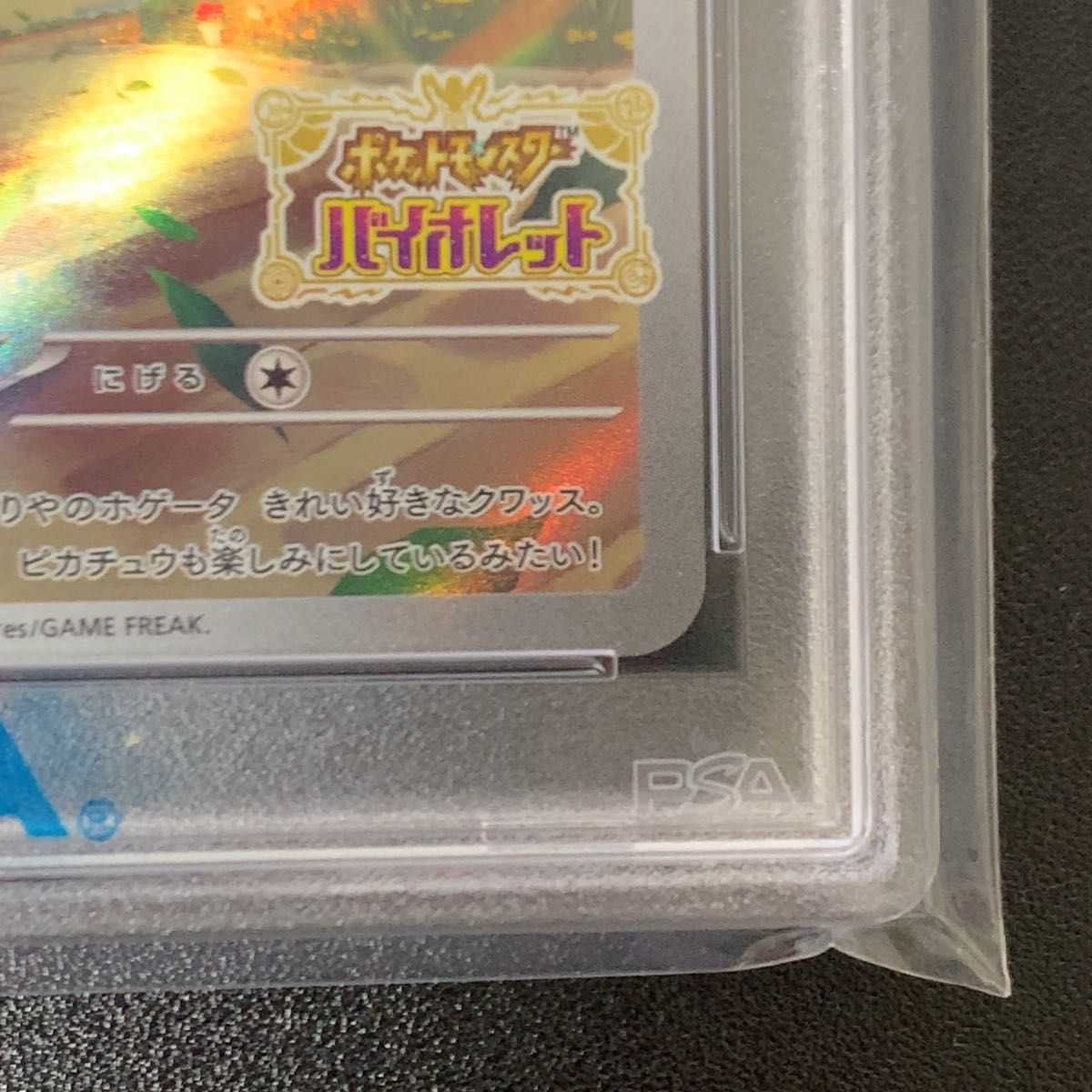 PSA10 ピカチュウ 001/SV-P みんなでぼうけん|Yahoo!フリマ(旧 PSA10 ピカチュウ 001/SV-P みんなでぼうけん|Yahoo!フリマ(旧