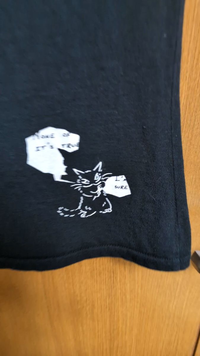 《わちふぃーるど》ダヤン(狙う猫ポスター)半袖Tシャツ