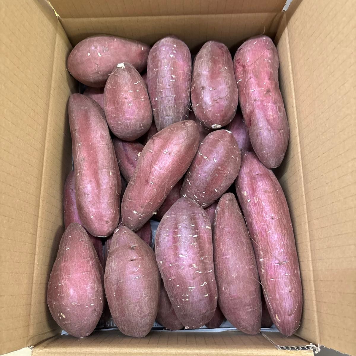 無農薬熟成シルクスイート箱込み約5キロ Mサイズ|Yahoo!フリマ 無農薬熟成シルクスイート箱込み約5キロ Mサイズ|Yahoo!フリマ