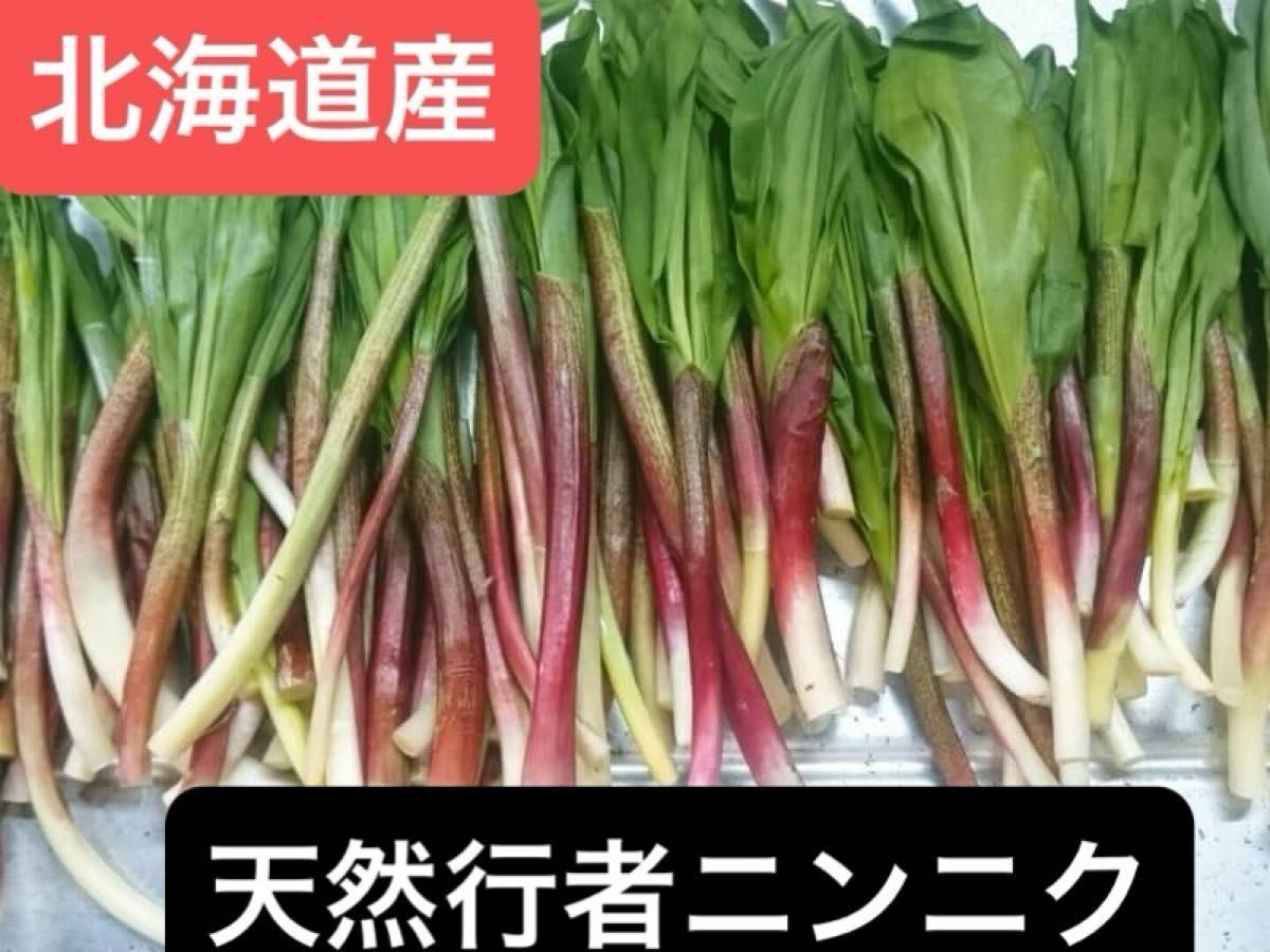 増量発送 北海道産行者ニンニク 土付着殆ど無 午前中採取|Yahoo 増量発送 北海道産行者ニンニク 土付着殆ど無 午前中採取|Yahoo