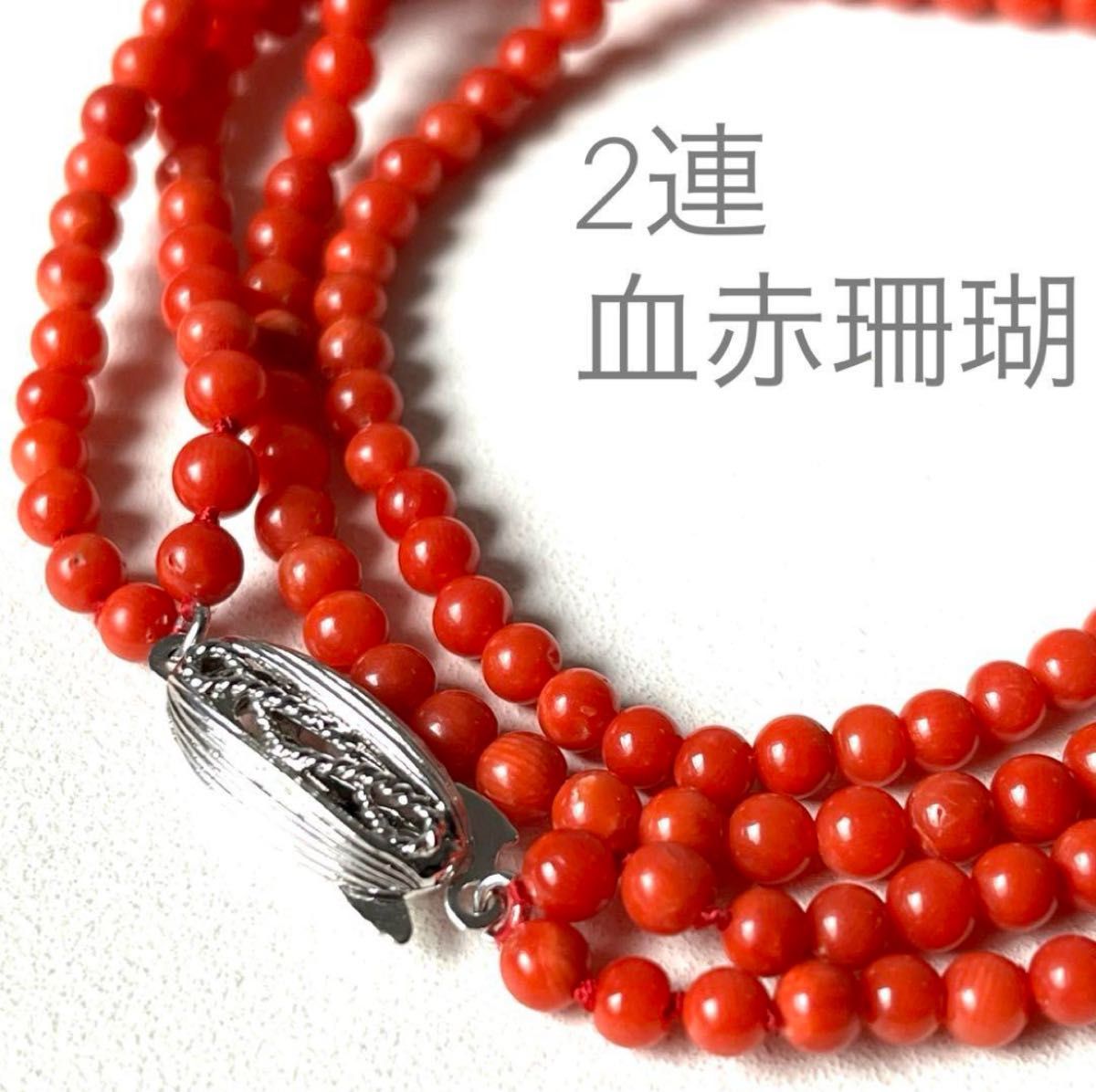 美品 血赤珊瑚 2連 丸珠 ネックレス シルバー刻印 本珊瑚 美品 血赤珊瑚 2連 丸珠 ネックレス シルバー刻印 本珊瑚