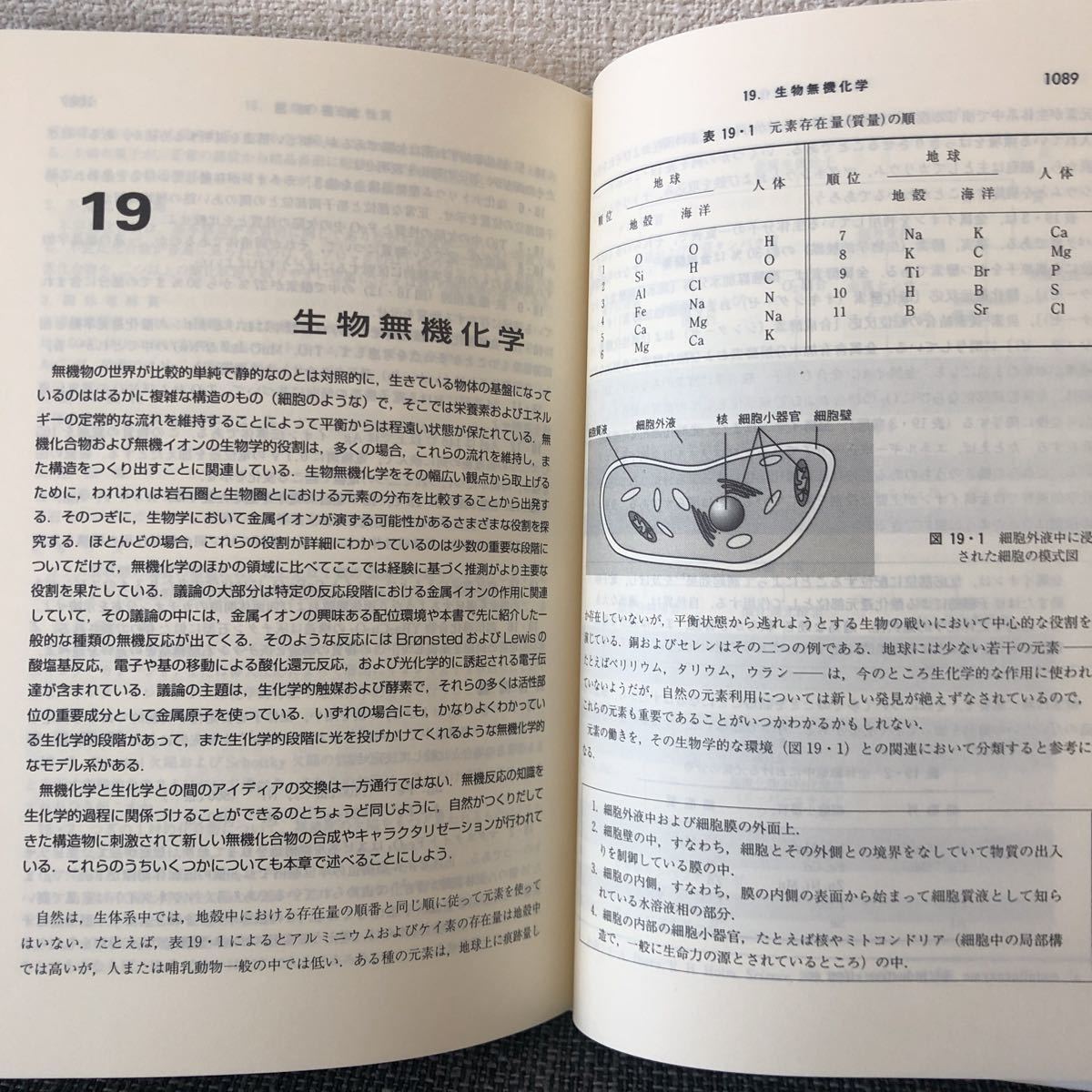  специализация документ shulai балка нет машина химия ( сверху / внизу ) Tokyo химия такой же человек 1996 год редкий товар 