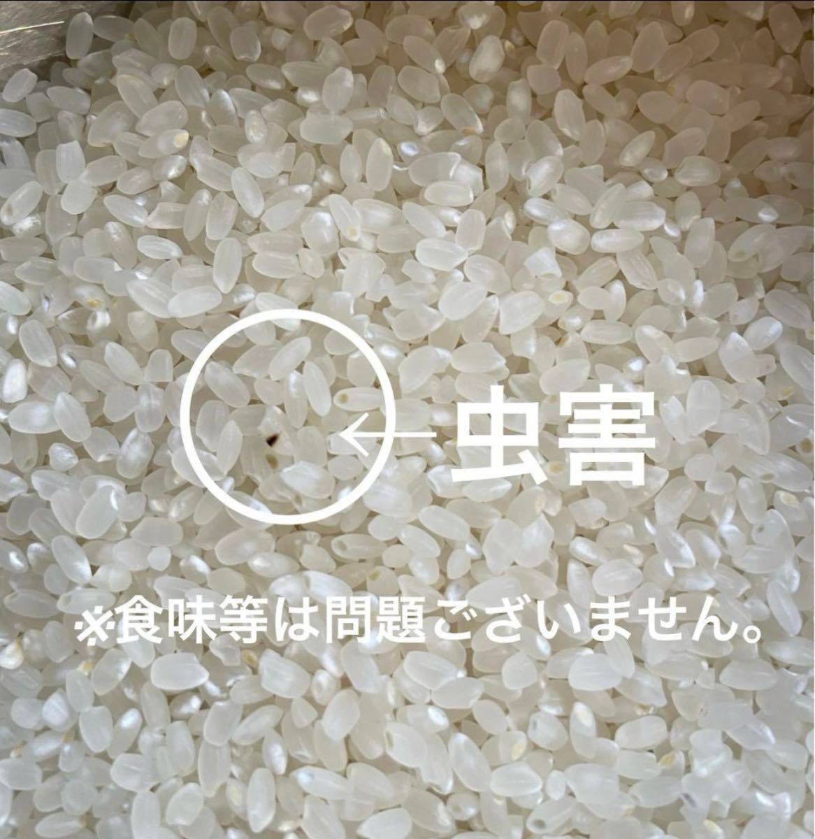 令和6年新米 大分県産なつほのかお米 専用|Yahoo!フリマ(旧 令和6年新米 大分県産なつほのかお米 専用|Yahoo!フリマ(旧