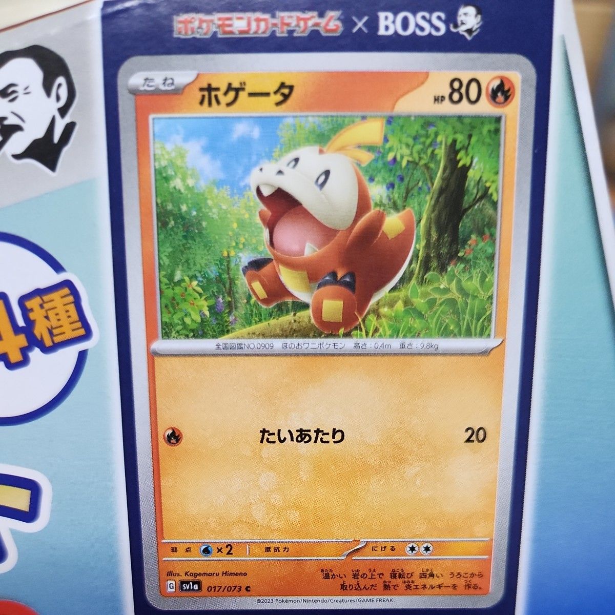 アメリカ限定2025】ポケモンカード ハロウィン 10パックセット