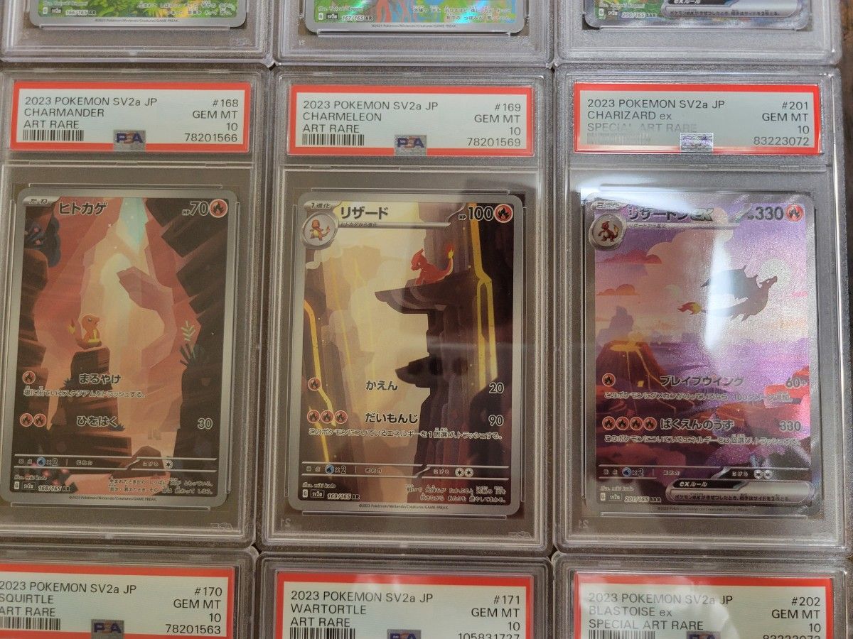 ポケモンカード フシギバナ リザードン カメックス フシギダネ ポケモンカード フシギバナ リザードン カメックス フシギダネ