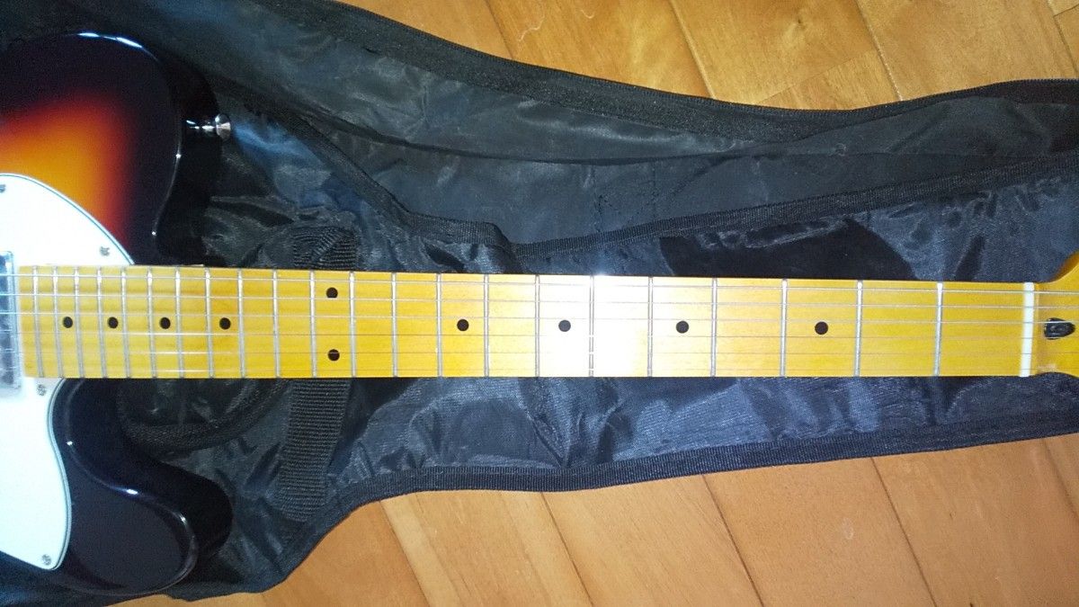 donner thinline telecaster type 美品 エレキギター 簡易調整済 donner thinline telecaster type 美品 エレキギター 簡易調整済