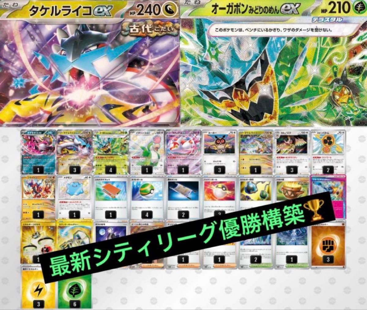 最新 タケルライコex デッキ シティリーグ優勝構築デッキ 最新 タケルライコex デッキ シティリーグ優勝構築デッキ