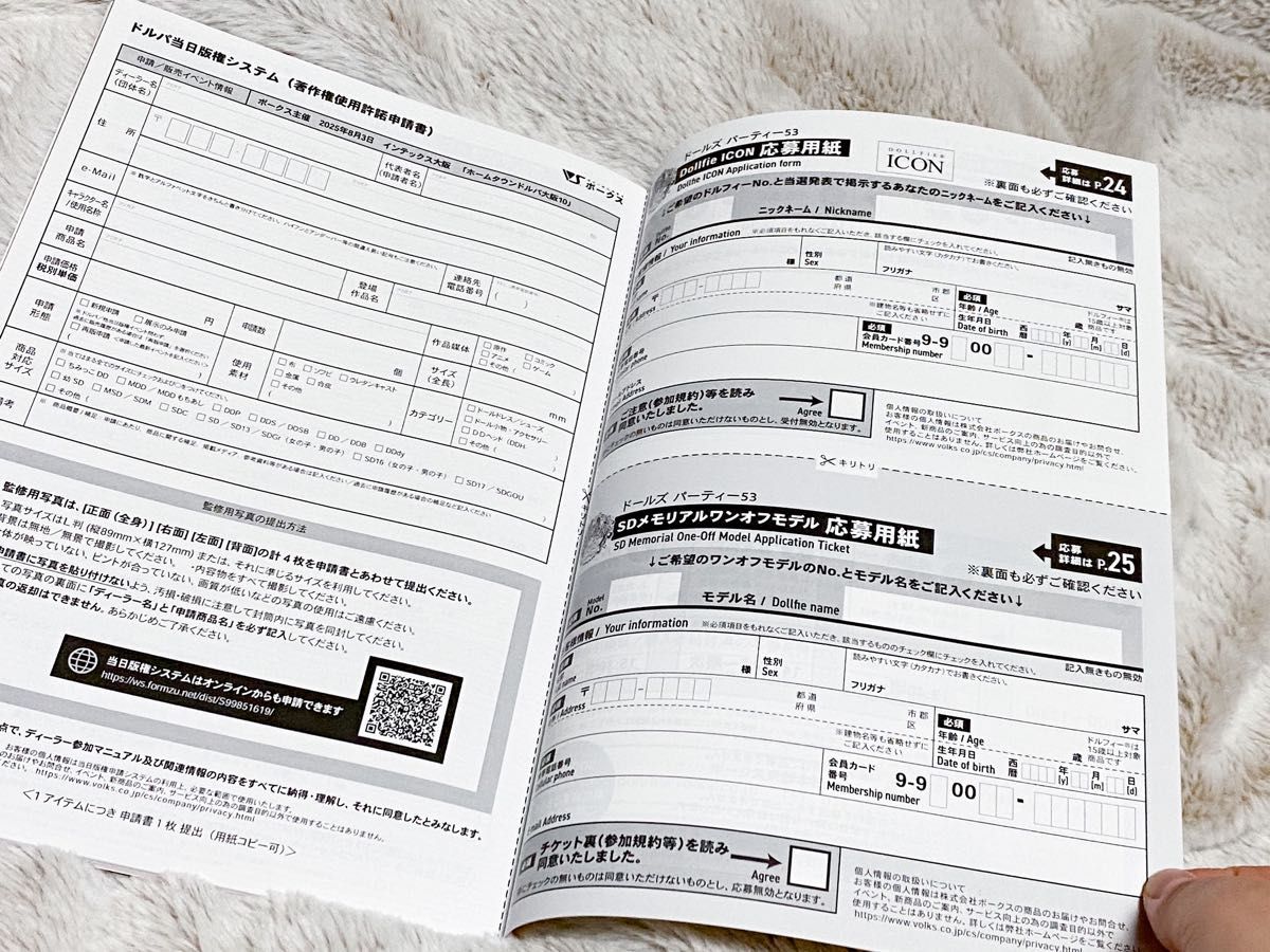 ボークス ドルパ53 公式ガイドブック兼入場券 Hグループ ボークス ドルパ53 公式ガイドブック兼入場券 Hグループ