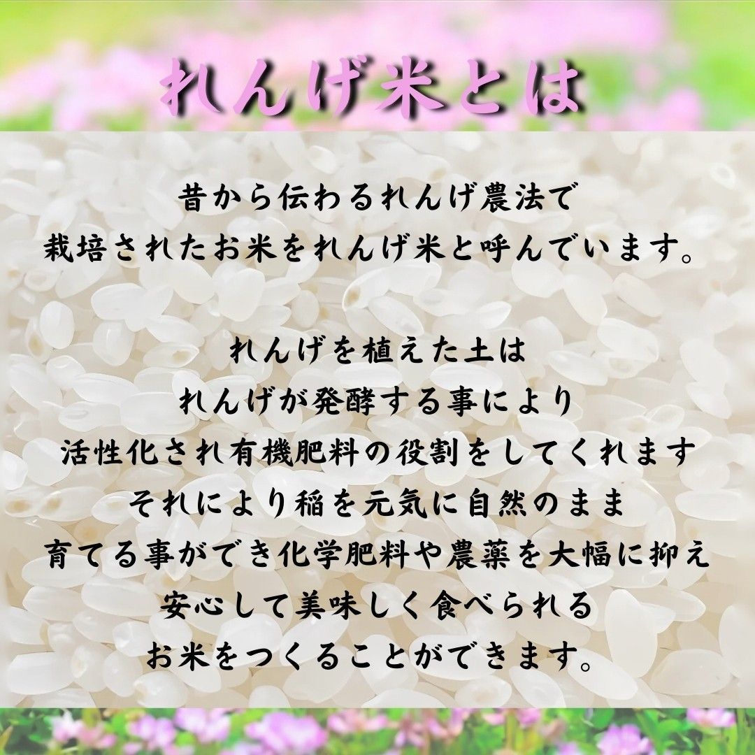 数量限定 ヒノヒカリ 10kg 白米 6年産 お米 おまけ付き 麦茶 お 数量限定 ヒノヒカリ 10kg 白米 6年産 お米 おまけ付き 麦茶 お
