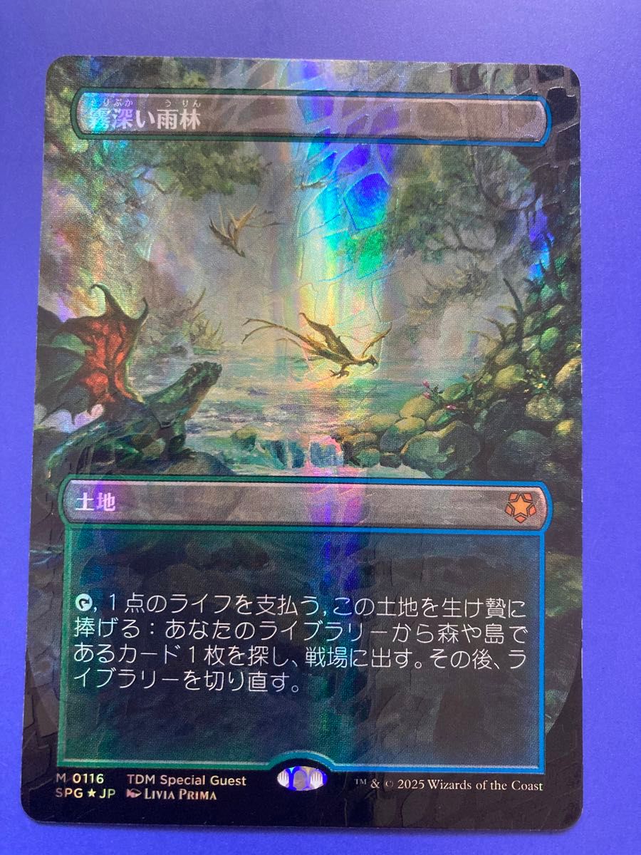 mtg 霧深い雨林 日本語 ドラゴンスケイルfoil|Yahoo!フリマ(旧 mtg 霧深い雨林 日本語 ドラゴンスケイルfoil|Yahoo!フリマ(旧