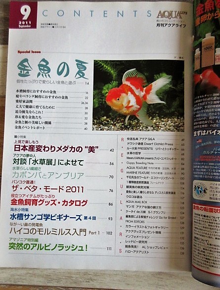 ヤフオク アクアライフ 9月号 11年08月11日発売 特集 ヤフオク アクアライフ 9月号 11年08月11日発売 特集