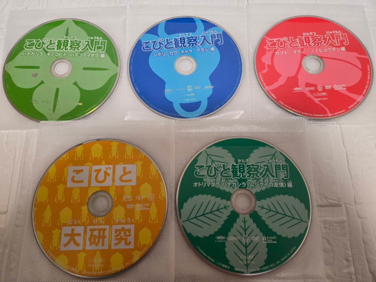 こびと観察入門 全9巻+こびと大研究 DVD 全巻セット レンタル こびと観察入門 全9巻+こびと大研究 DVD 全巻セット レンタル