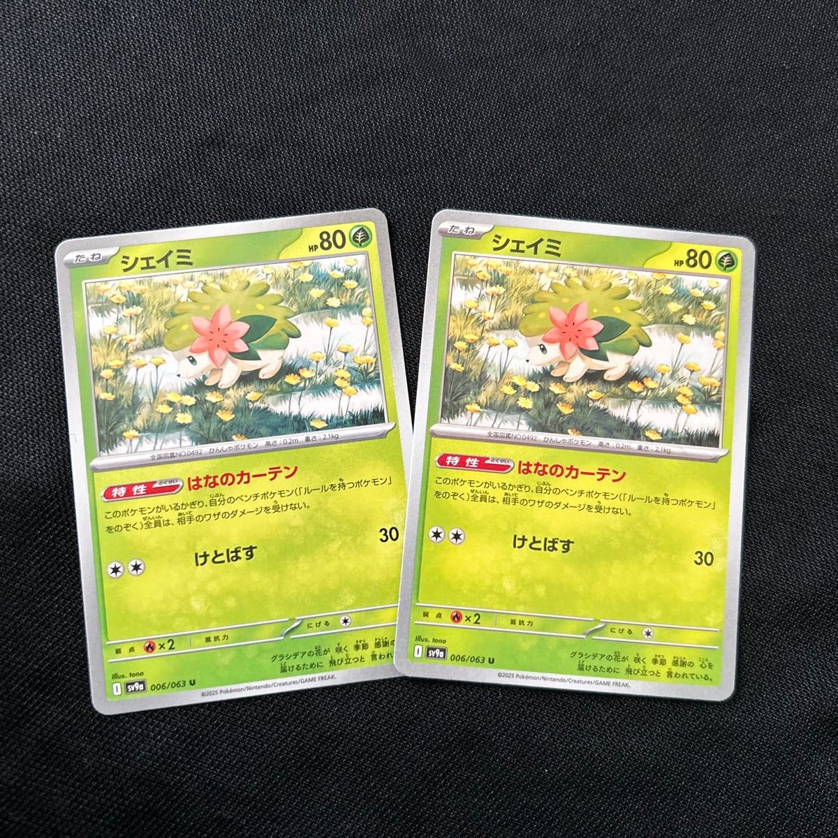 ポケモンカード ヒビキの冒険 sar オマケ付き|Yahoo!フリマ(旧 ポケモンカード ヒビキの冒険 sar オマケ付き|Yahoo!フリマ(旧