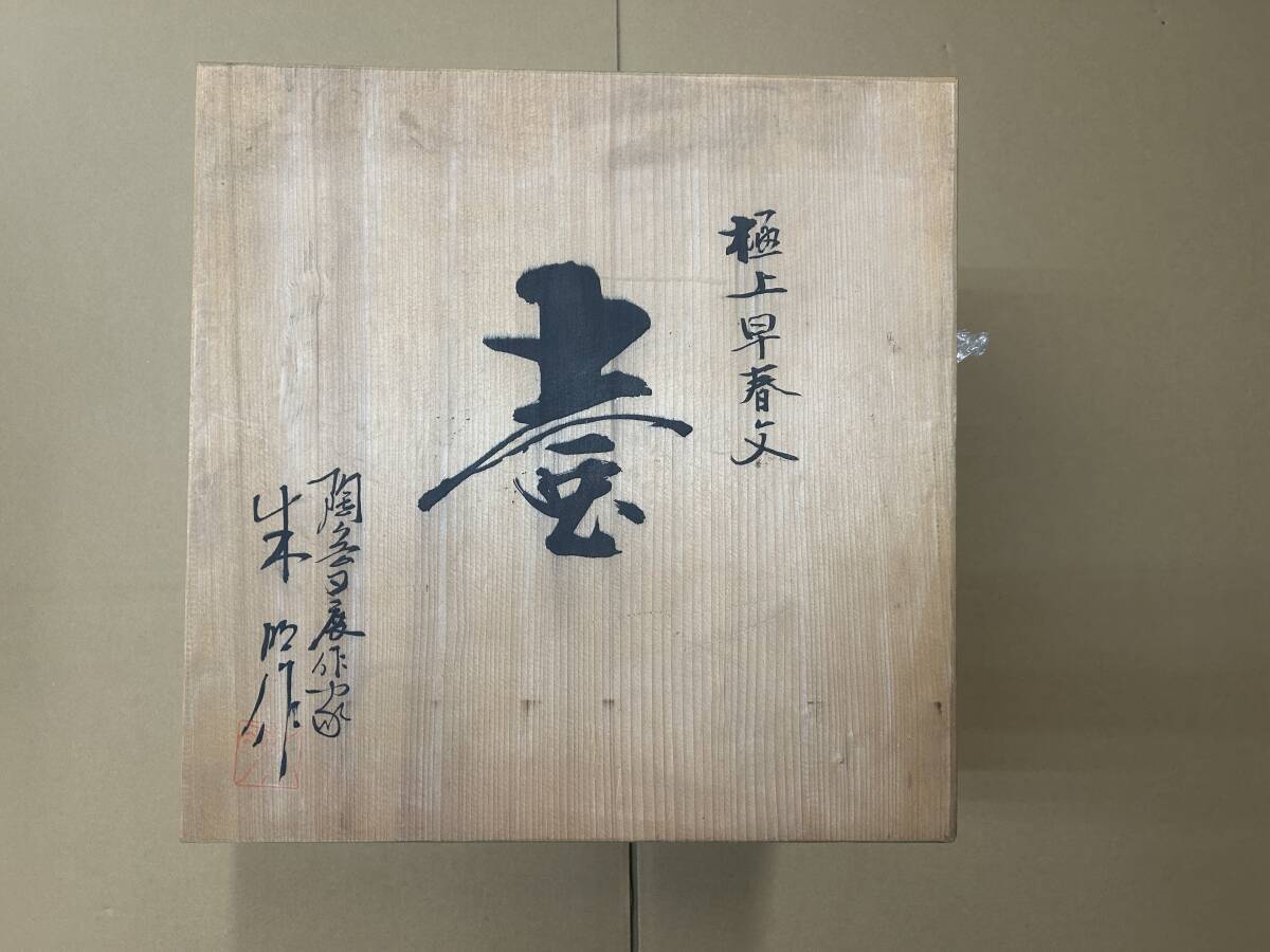 4#W/B87 藤井朱明 極上早春文 壺 飾り壺 花瓶 花器 日展人気 4#W/B87 藤井朱明 極上早春文 壺 飾り壺 花瓶 花器 日展人気