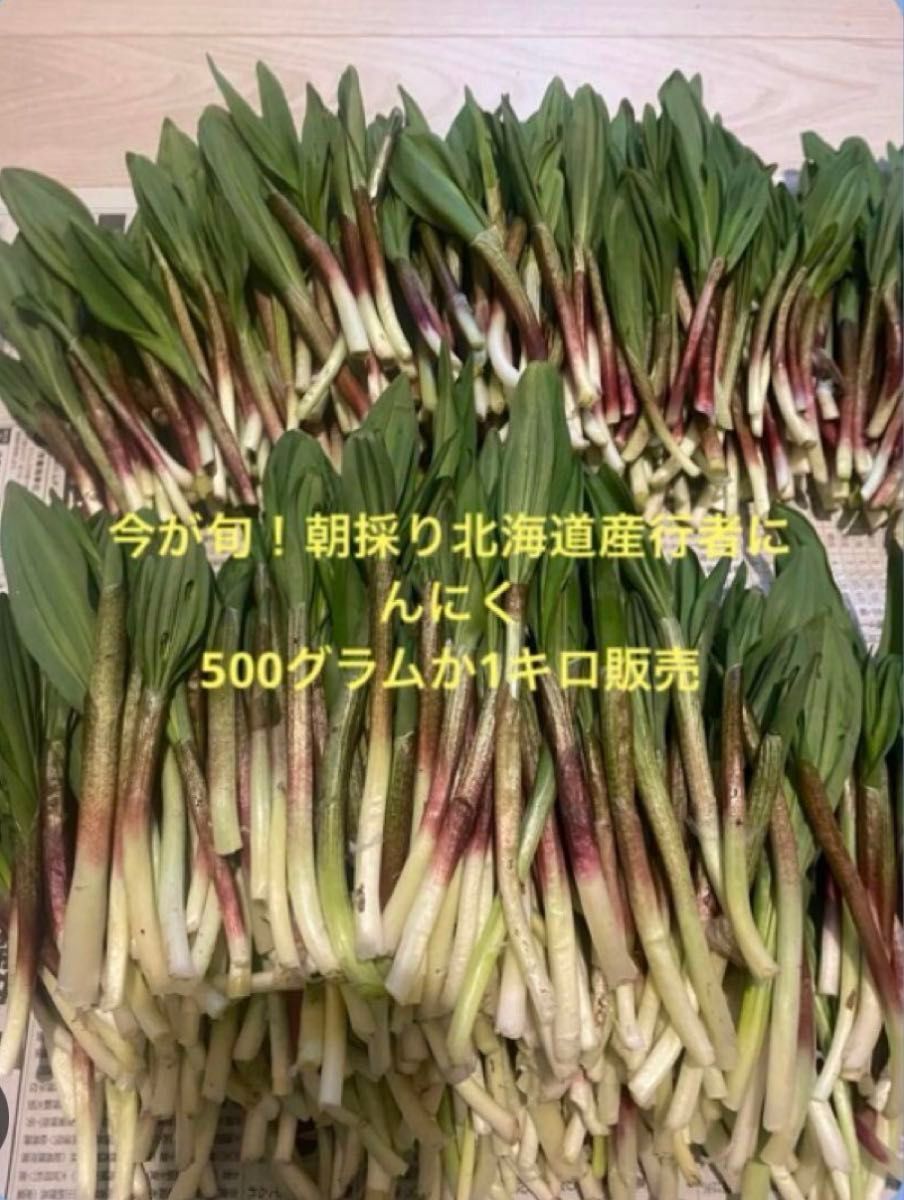 今が旬 朝採り 新鮮北海道産行者にんにく|Yahoo!フリマ(旧 今が旬 朝採り 新鮮北海道産行者にんにく|Yahoo!フリマ(旧