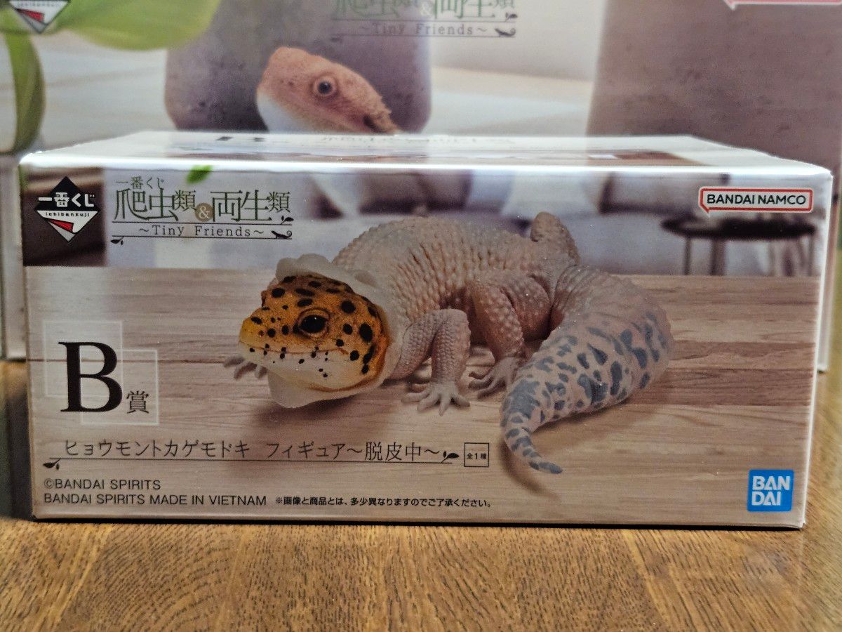 一番くじ 爬虫類&両生類 ~Tiny Friends~ A賞 B賞セット|Yahoo 一番くじ 爬虫類&両生類 ~Tiny Friends~ A賞 B賞セット|Yahoo