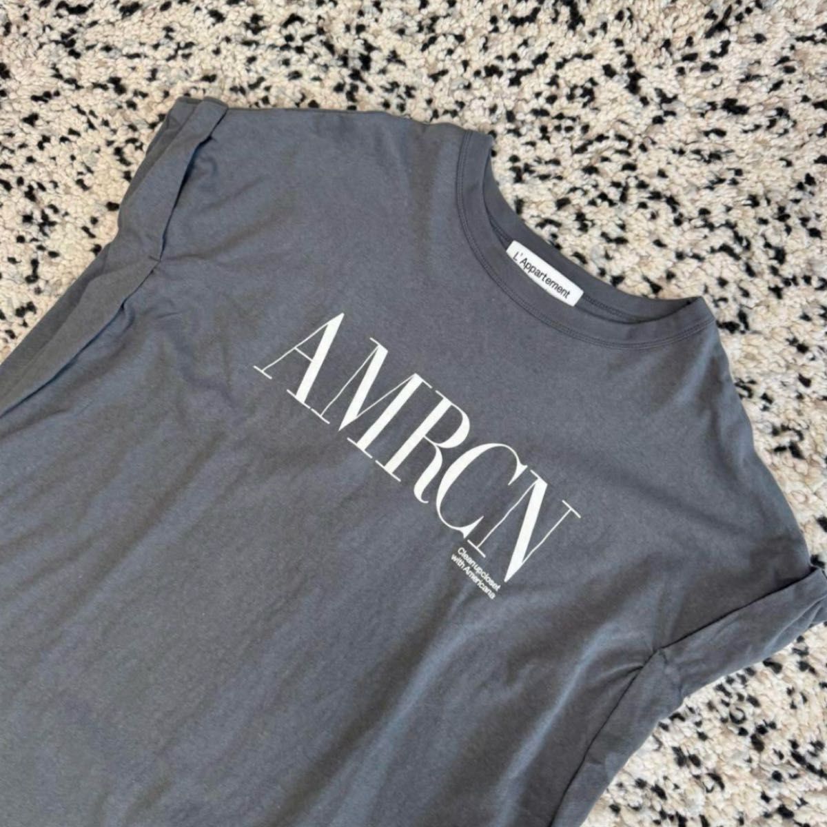 L'Appartement別注 AMERICANA アメリカーナ Tシャツ L'Appartement別注 AMERICANA アメリカーナ Tシャツ