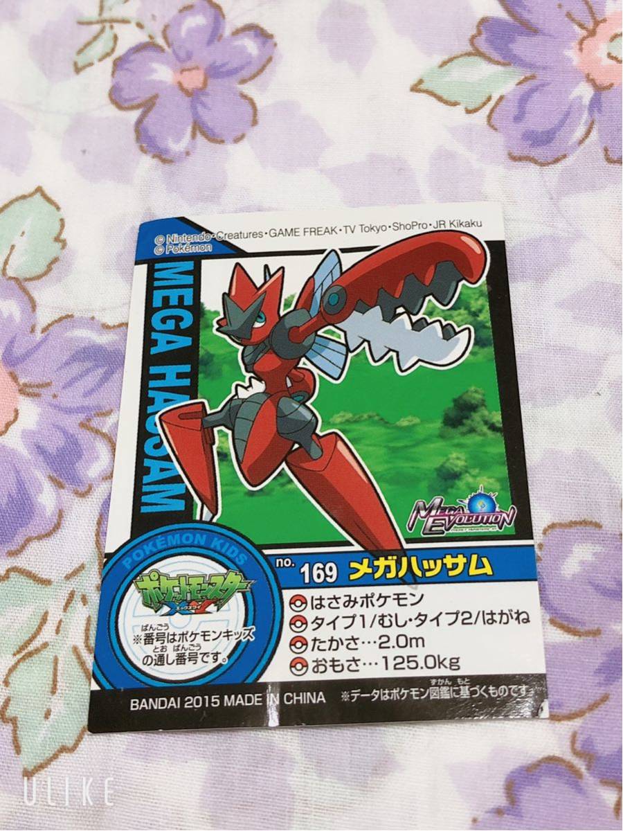 メガハッサム メガハッサム