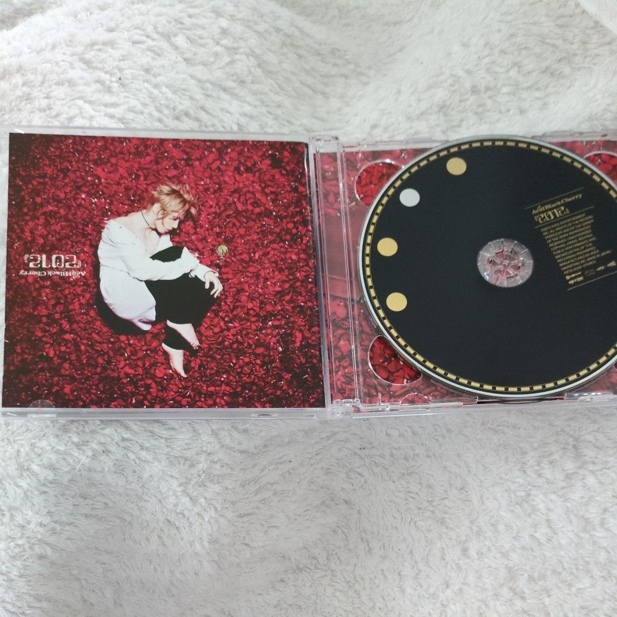 Acid Black Cherry『2012』 DVD付CD アルバムCD (MUSIC CLIP)盤 Acid Black Cherry『2012』 DVD付CD アルバムCD (MUSIC CLIP)盤