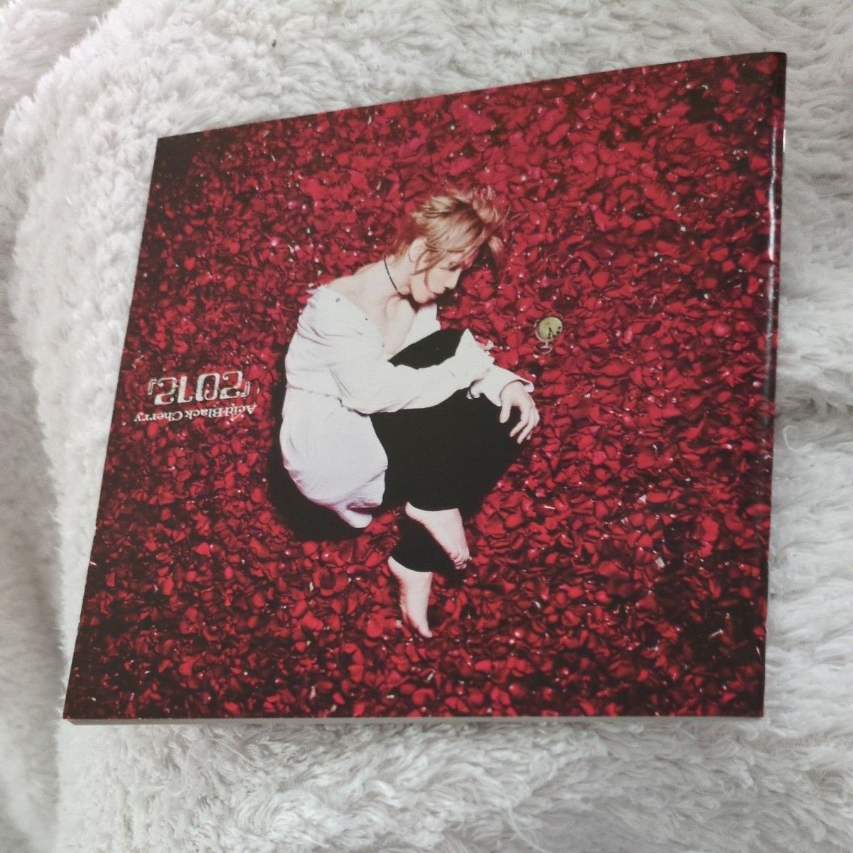 Acid Black Cherry『2012』 DVD付CD アルバムCD (MUSIC CLIP)盤 Acid Black Cherry『2012』 DVD付CD アルバムCD (MUSIC CLIP)盤
