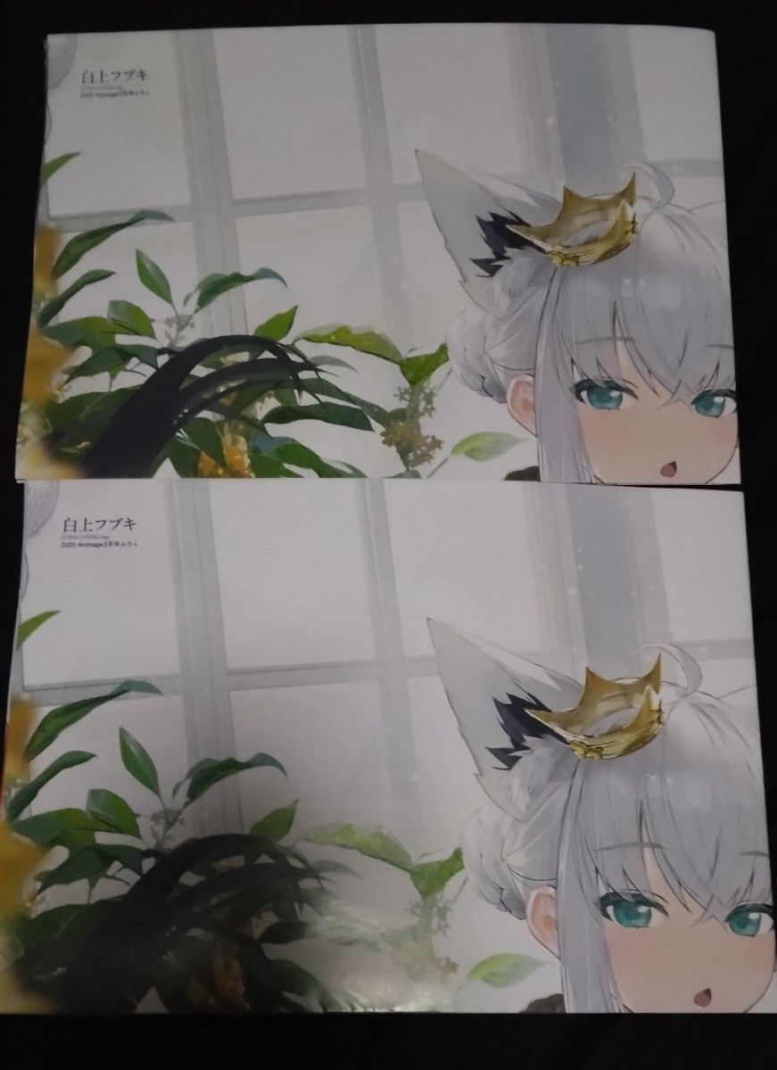 アニメージュ 3月号 付録 B2サイズ両面ポスター 2枚セット アニメージュ 3月号 付録 B2サイズ両面ポスター 2枚セット