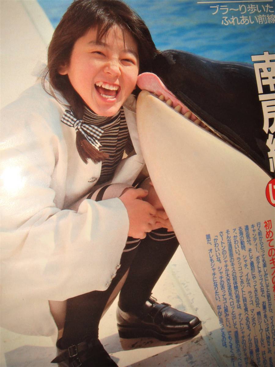 ヤフオク 渡辺満里奈 鴨川シーワールド シャチ 当時物 ヤフオク 渡辺満里奈 鴨川シーワールド シャチ 当時物