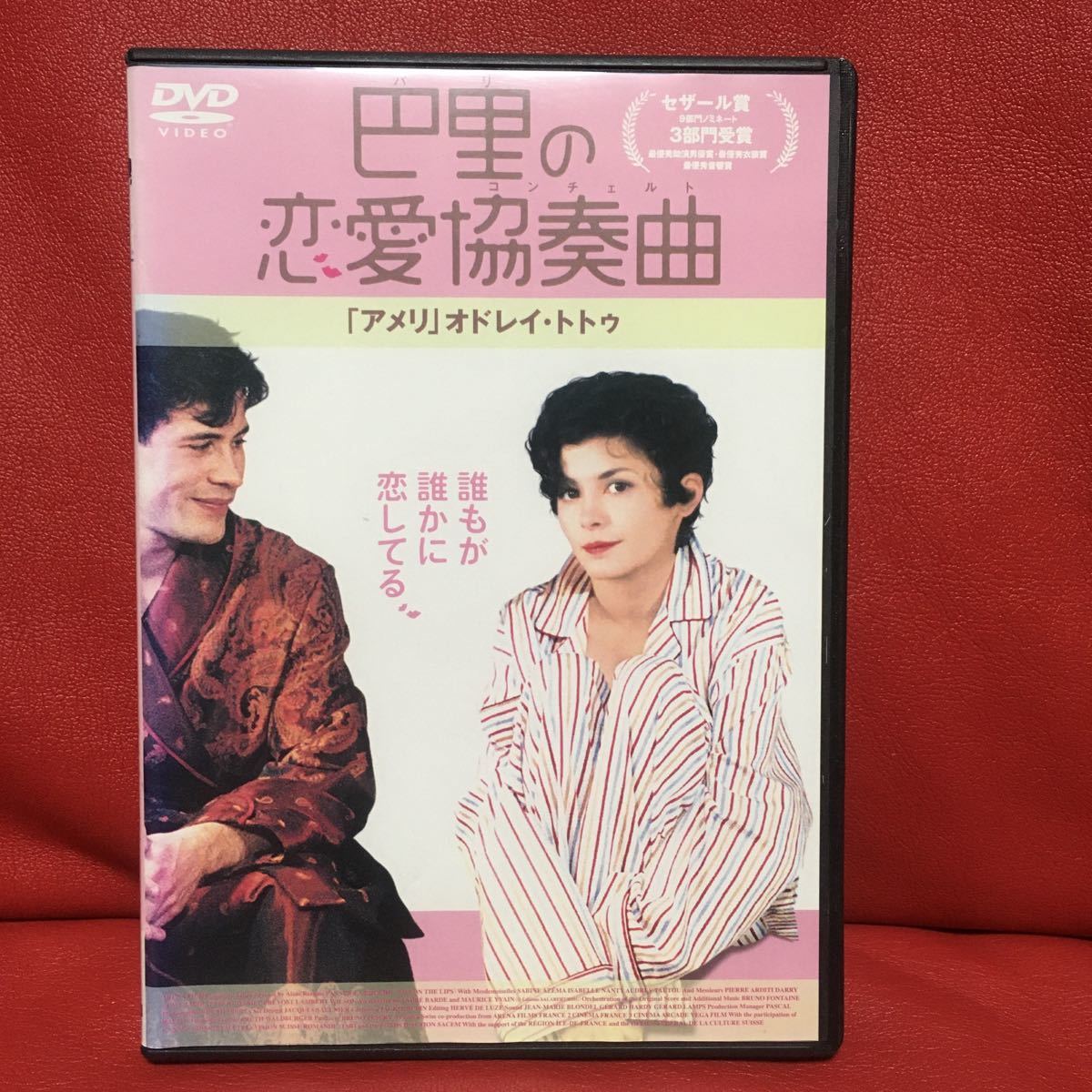 巴里の恋愛協奏曲　DVD レンタル落ち_画像1