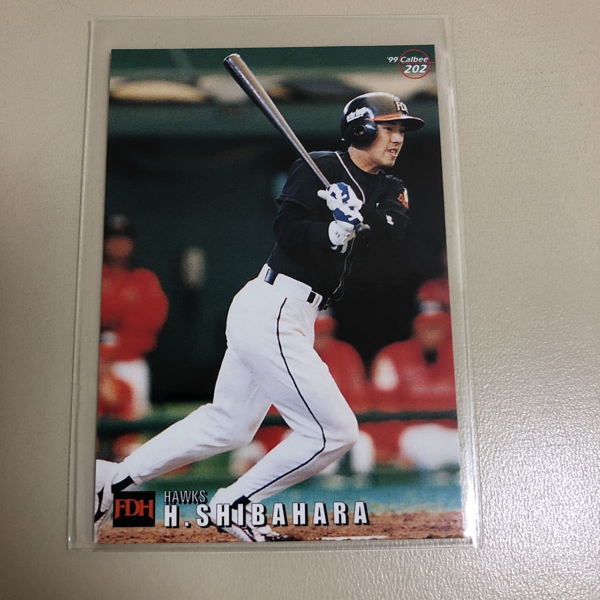  Calbee 1999 202...( большой e-) обычная карта 