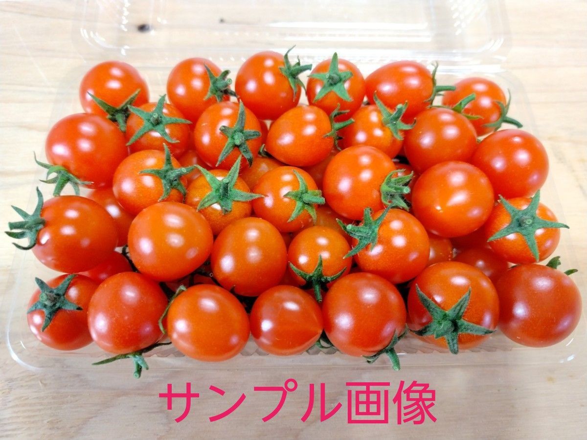 農家直送 なすとミニトマトの新鮮野菜セット|Yahoo!フリマ(旧 農家直送 なすとミニトマトの新鮮野菜セット|Yahoo!フリマ(旧