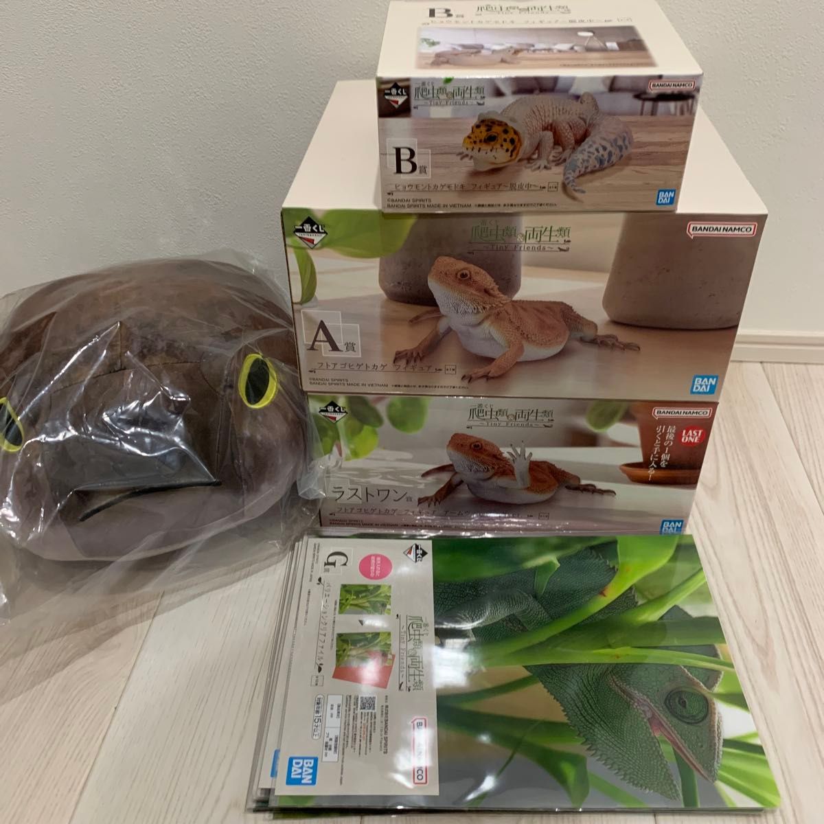 新品 一番くじ 爬虫類&両生類 ラストワン賞 A賞 B賞 C賞 新品 一番くじ 爬虫類&両生類 ラストワン賞 A賞 B賞 C賞