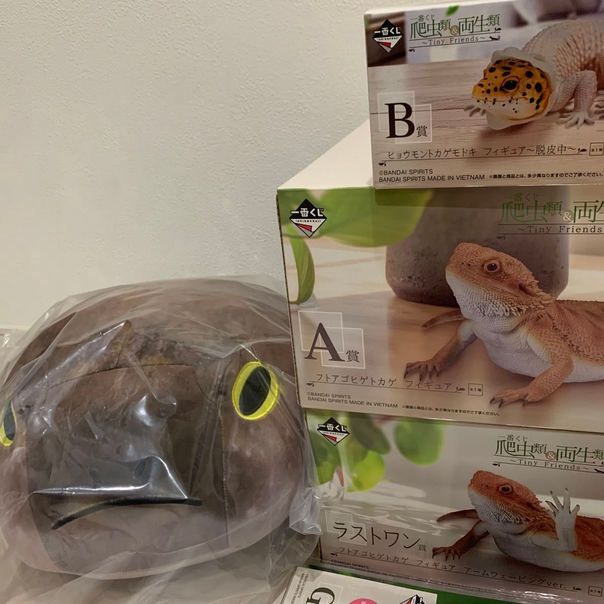 新品 一番くじ 爬虫類&両生類 ラストワン賞 A賞 B賞 C賞 新品 一番くじ 爬虫類&両生類 ラストワン賞 A賞 B賞 C賞