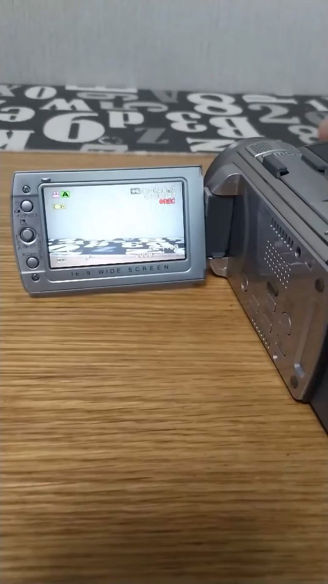 Victor ビデオカメラ Everio GZ-HD30 シルバー