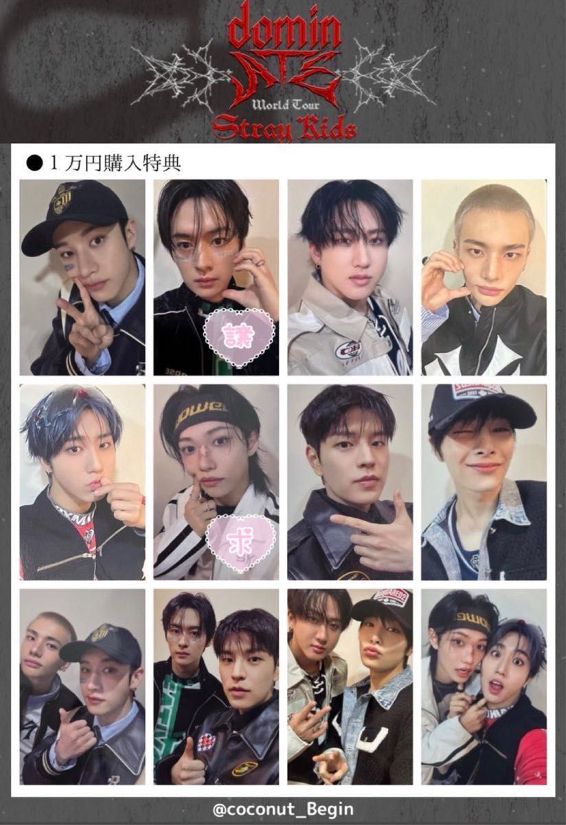 Stray Kids スキズ トレカ domin ATE 一万円特典 リノ Stray Kids スキズ トレカ domin ATE 一万円特典 リノ