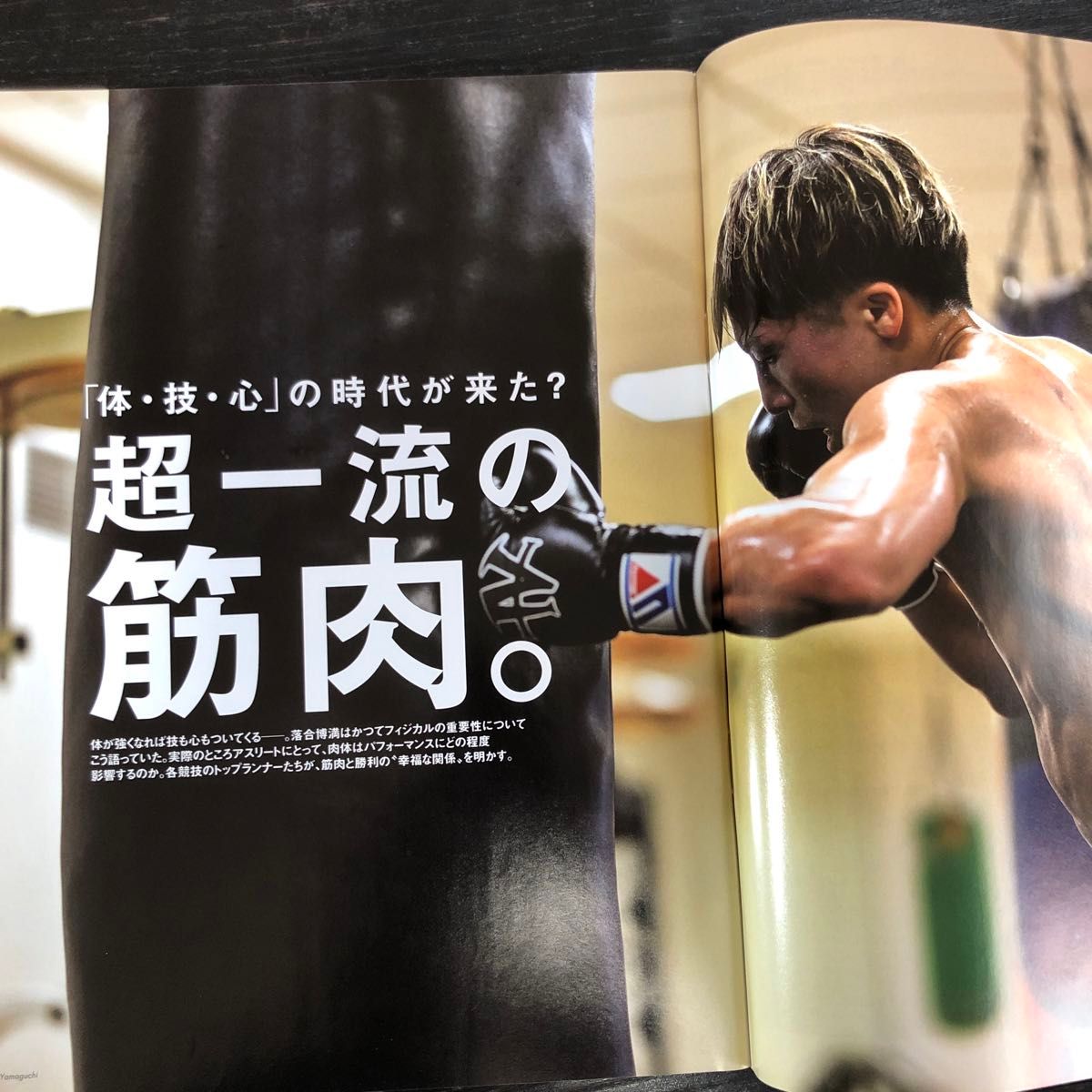Number 1066 超一流の筋肉 井上尚弥|Yahoo!フリマ(旧PayPay Number 1066 超一流の筋肉 井上尚弥|Yahoo!フリマ(旧PayPay